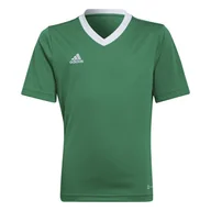 Piłka nożna - Dziecięca Koszulka z krótkim rękawem ADIDAS ENT22 JSY Y HI2126 – Zielony - miniaturka - grafika 1
