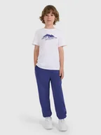 Spodnie i spodenki dla chłopców - 4F Spodnie polarowe chłopięce - granatowe 134 (8-9 lat) - miniaturka - grafika 1