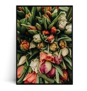 Plakaty - Fox Art Studio, Plakat Tulipany,  wymiary 70x100 cm - miniaturka - grafika 1