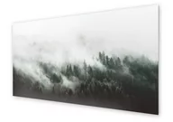 Obrazy i zdjęcia na płótnie - Panel kuchenny HOMEPRINT Krajobraz lasu we mgle 100x50 cm - miniaturka - grafika 1