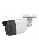 Kamery do monitoringu - Levelone Fcs-5201 FCS5201 - miniaturka - grafika 1