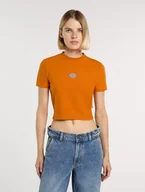 Koszulki i topy damskie - t-shirt donna dickies maple valley dk0a4xpo k641 autumn maple - miniaturka - grafika 1