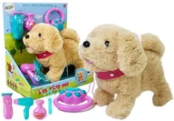 Mały naukowiec - Pluszowy Piesek na Smyczy na Baterie Kremowy Akcesoria - miniaturka - grafika 1