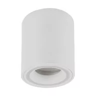 Lampy sufitowe - Ideus Metalowa lampa sufitowa Indi C04045 biała tuba do przedpokoju - miniaturka - grafika 1