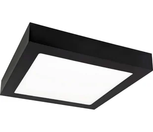 LED Plafon FENIX LED/12W/230V 3800K 17 cm - Lampy sufitowe - miniaturka - grafika 1