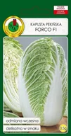 Nasiona i cebule - Kapusta pekińska Forco F1 0,5 g PNOS - miniaturka - grafika 1