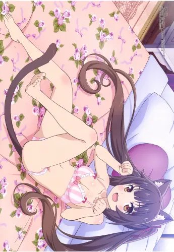 Plakat Anime Manga Nekopara np_083 A1+ (custom)