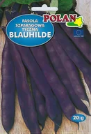 Nasiona i cebule - Fasola Blauhilde 20 g POLAN - miniaturka - grafika 1