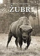Albumy krajoznawcze - Żubr - miniaturka - grafika 1