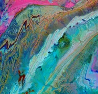 Soul - St. Paul & the Broken Bones - Alien Coast - miniaturka - grafika 1