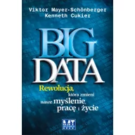 Ekonomia - MT Biznes Victor Mayer-Schonberger, Kenneth Cukier Big Data - miniaturka - grafika 1