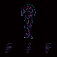 Winyle - FIT, płyta winylowa - miniaturka - grafika 1