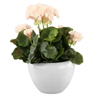 Donice - Doniczka osłonka ceramiczna biała połysk misa 19cm kaktus sukulent storczyk - miniaturka - grafika 1