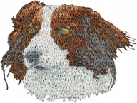 Pasmanteria - Kooikerhondje Haft Naszywka Przyszywka Łata - miniaturka - grafika 1