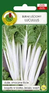 Nasiona i cebule - BURAK LIŚCIOWY LUCULLUS NASIONA BEZ GMO 5g - miniaturka - grafika 1