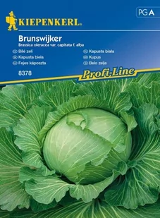 Kiepenkerl Kapusta biała Brunswijker Brassica oleracea var capitata f alba 102323 - Nasiona i cebule - miniaturka - grafika 1