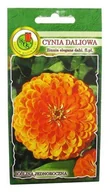 Nasiona i cebule - Roślina jednoroczna o dużych, pełnych, pastelowych kwiatach typu daliowego, o średnicy 10-12 cm - miniaturka - grafika 1
