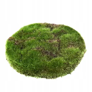 Sztuczna okrągła mata z mchu sztuczny mech 15cm - Sztuczne kwiaty - miniaturka - grafika 1