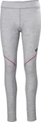 Bielizna sportowa damska - Helly Hansen Women's underpants HELLY HANSEN Lifa Merino, gray XL - miniaturka - grafika 1