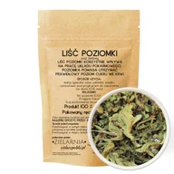 Przyprawy i zioła sypkie - Poziomka liść 50g ZIELARZPOLSKI.PL - miniaturka - grafika 1