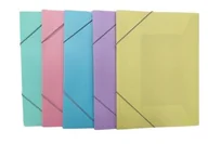 Teczki i skoroszyty - Teczka A4 z gumką (12szt) - miniaturka - grafika 1