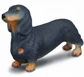 Pozostałe książki - Pies rasy jamnik - miniaturka - grafika 1