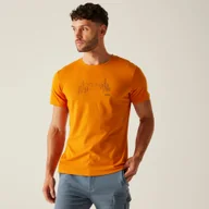 Koszulki sportowe męskie - Regatta Męska koszulka Breezed V Pomarańczowy, Cotton, Rozmiar: 5XL - miniaturka - grafika 1