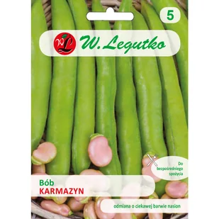 Bób ogrodowyKarmazyn SR nasiona 58g W. Legutko - Nasiona i cebule - miniaturka - grafika 1