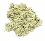 Przyprawy i zioła sypkie - SZAROTA BŁOTNA ZIELE CIĘTE 50 G 100% NATURALNY - miniaturka - grafika 1