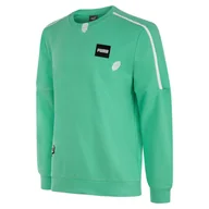 Bluzy sportowe męskie - Bluza dresowa męska Puma BISCAY - miniaturka - grafika 1