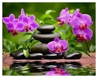 Zabawki kreatywne - DIAMENTOWA PASJA Haft Diamentowy Obraz Diamentowy Mozaika Diamentowa STORCZYKI KWIATY - miniaturka - grafika 1