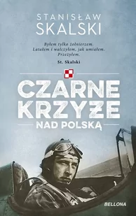 Czarne krzyże nad Polską - II wojna światowa - miniaturka - grafika 1