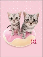 Koce i narzuty dla dzieci - Detexpol, Koc z mikrofibry, Disney, The Cat, 75x100 cm - miniaturka - grafika 1