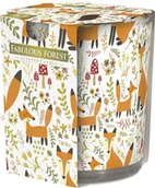 Świece - Bispol Świeca zapachowa w szkle 22H BAJKOWY LAS BISPOL4492 - miniaturka - grafika 1