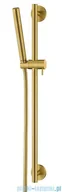Zestawy prysznicowe - Omnires Microphone zestaw prysznicowy suwany złoty szczotkowany MICROPHONE-SGLB - miniaturka - grafika 1