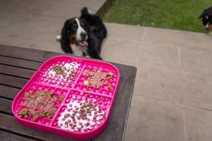 Mata Lickimat SLOMO XL różowa - Miski dla psów - miniaturka - grafika 4