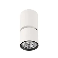 Oprawy, klosze i abażury - Italux Boniva SPL-2854-1-SC-WH Boniva SPL-2854-1-SC-WH - miniaturka - grafika 1