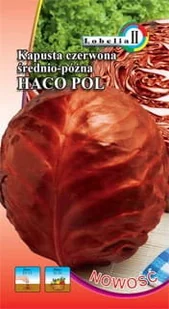 Kapusta czerwona Haco 2g / L / - Nasiona i cebule - miniaturka - grafika 1