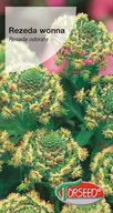 Nasiona i cebule - Nasiona Rezeda wonna biała 2g - Torseed - miniaturka - grafika 1