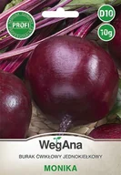 Nasiona i cebule - Burak cwiklowy Monika 10g nasiona - WegAna - miniaturka - grafika 1