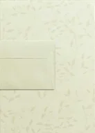 Artykuły biurowe - Papeteria Liana kremowa A4 - 20 ark Liana 100g + 10 szt kopert DL Millenium - miniaturka - grafika 1