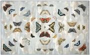 Dywany - John Derian Dywan ręcznie tkany Mirrored Butterflies Sky - miniaturka - grafika 1