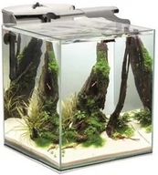 Filtry akwariowe i akcesoria - Aquael AQUAEL Zestaw Shrimp set DUO 35 cm 49 l biały 26317-uniw - miniaturka - grafika 1