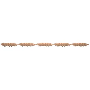 Przynęta LIBRA LURES Larva Multi 2.5 cm Pellets - Przynęty - miniaturka - grafika 1