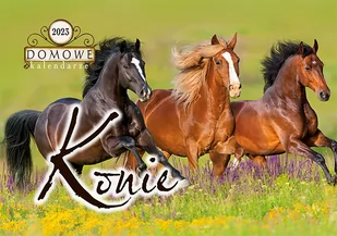 Michalczyk i P. Kalendarze Kalendarz ścienny 2018 - Konie TW-10-6 00242MP - Kalendarze - miniaturka - grafika 1