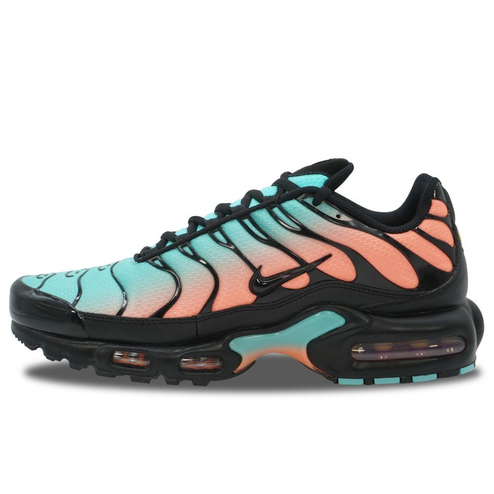 Shoes Nike Air Max Plus DM0032022