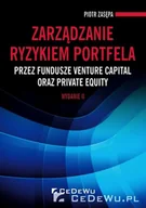 Ekonomia - Zarządzanie ryzykiem portfela przez fundusze Piotr Zasępa - miniaturka - grafika 1