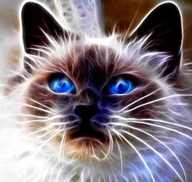 Zabawki kreatywne - Mozaika Diamentowa Malowanie Diamond Painting 5D - miniaturka - grafika 1