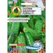 Nasiona i cebule - Ogórek gruntowy Portal F1 nasiona na taśmie 6 mPnos - miniaturka - grafika 1