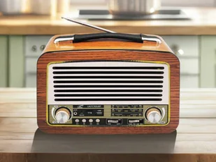 LTC OLZA 102UBT Retro  - Radia - miniaturka - grafika 1